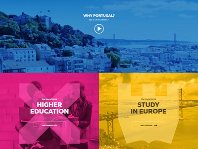Portugal Polytechnics ux ui webdesign website