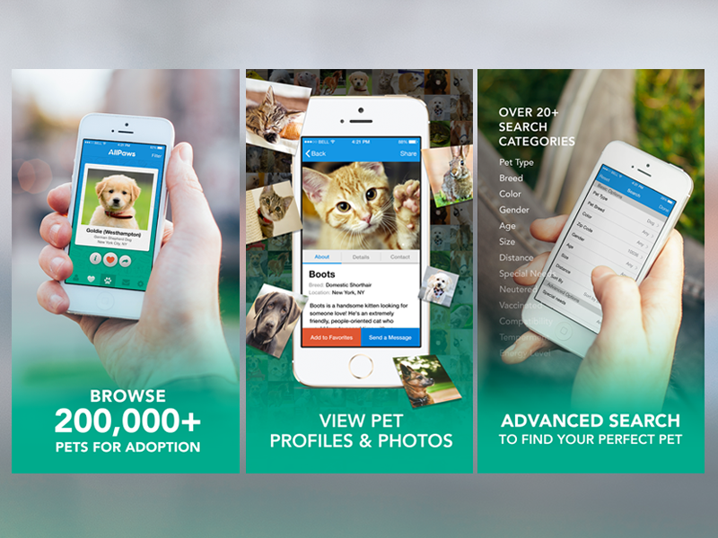 Pet Adoption Mobile Screenshots