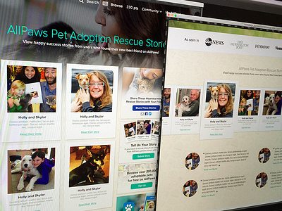 Pet Adoption Success Stories adoption pet stories success website wip