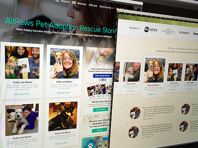 Pet Adoption Success Stories