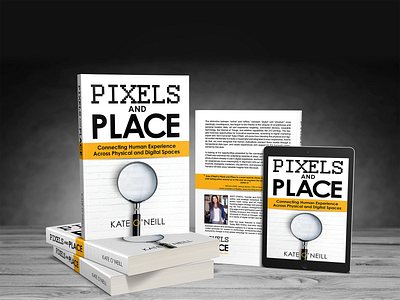 Pixels and Place Book book cover design