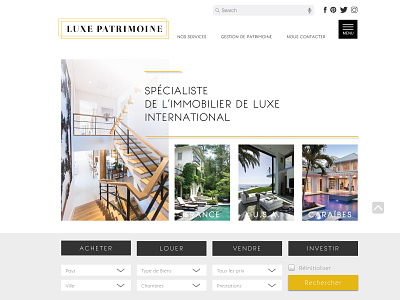 Luxe Patrimoine artist design illustraor luxe photoshop ui uidesign uiux design website