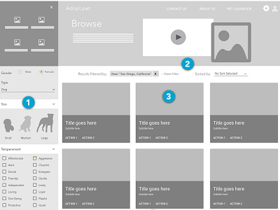 Pet Adoption UX Case Study - Browse for a pet - Wireframes