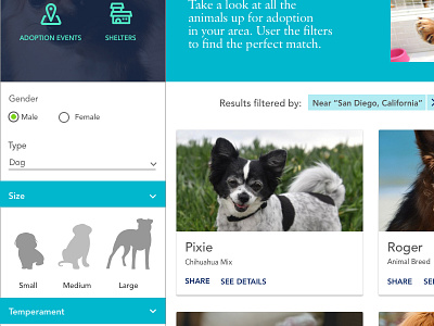 Pet Adoption UX Case Study - Browse for a pet - Visual