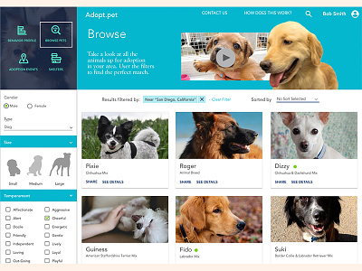 Pet Adoption UX Case Study - Browse for a pet - Visual
