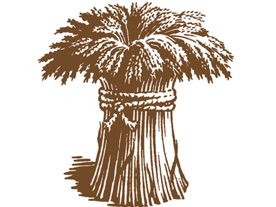 Earthgrains' Logo Illustration