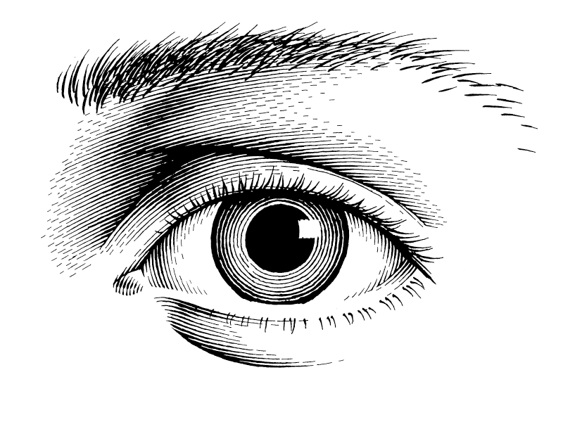 A Slightly Animated Eye... animation classic engraving illustration pen and ink vintage