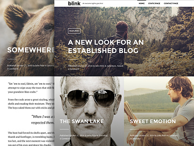 Blink - A WordPress Blogging Theme blog design photo blogging theme wordpress