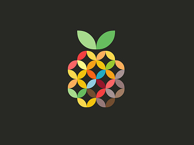 Fruit color eco ecology flatdesign food fruit leaf logo minimalistic pineapple sign symbols