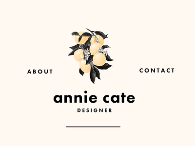 Portfolio branding design identity portfolio typography vector