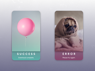 Flash Message (Error/Success) adobe xd adobexd challenge creativehunger daily ui 011 dailyui design designmadness enjoy the moment flash message ui ux ux design ux ui design uxlover