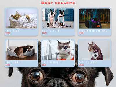 Best Sellers adobe xd animal and pet creativehunger designmadness enjoy the moment online shop top products ux ui design uxlover web design website