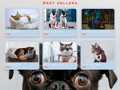 Best Sellers