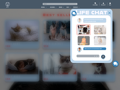 Life Chat adobe xd adobe xd creative challenge creativehunger customer assistance customer care customer experience designmadness enjoy the moment life chat ux ui design uxlover website concept