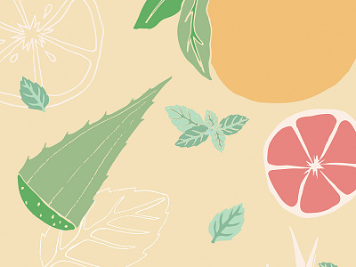 Citrus aloe citrus design drawings food fruits illustration juice lemons mint orange vector vector art vegetables