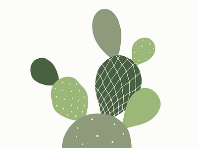 Cactus cactus design drawings green houseplants illustration plants succulents