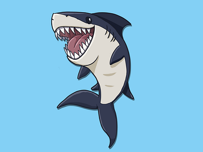 Shark illustration