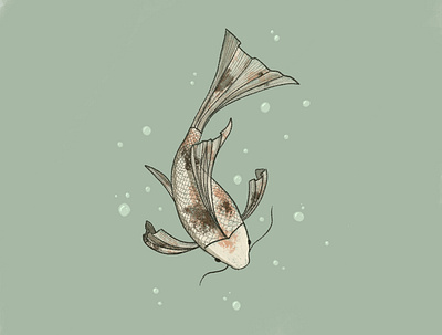 Koi illustration animal design illustration koi koi fish painting personal project photoshop