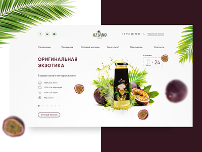 Aziano — Website Design