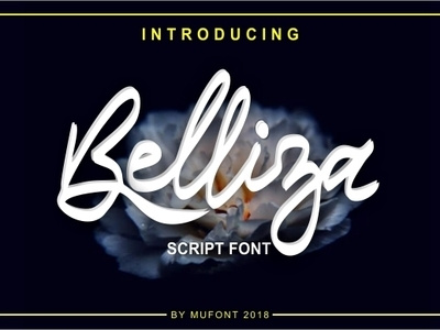 Belliza Script Font calligraphy font font design script font