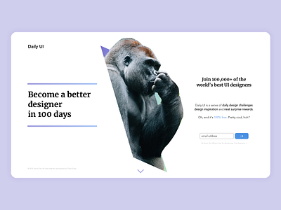 Daily UI Challenge 100 - Daily UI Landing Page