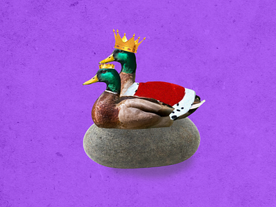 Royal Duck on a date