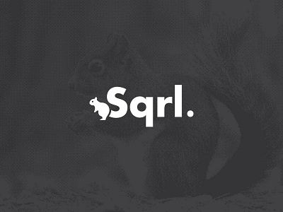 Sqrl icon logo squirrel