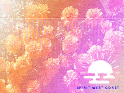 SWC flowers glitch vhs