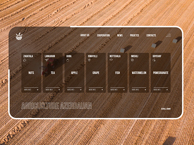 Concept of an Azerbaijan agricultura site