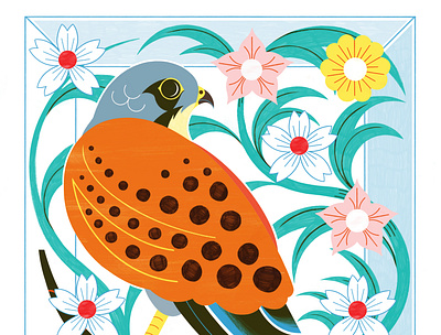 A Kestral for a Knave - RIsograph Print colour design editorial editorial illustration nature print risograph