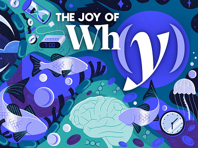 Quanta Magazine - The Joy of Why colour design editoral editorial illustration illustration podcast print