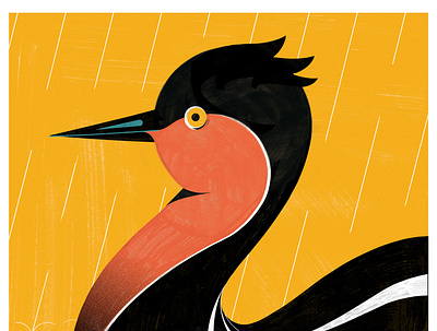 Wieden and Kennedy - Lost and Found Show - Alaotra Grebe bird colour design editoral editorial illustration environment extinction illustration nature print