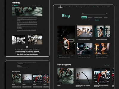 Acadiac Blog blog design fitness flat gym minimal sport typography ui user interface ux web webdesign website