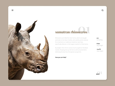 Endangered species / sumatran rhinoceros animal design endangered interface light minimal typography ui ux web webdesign website