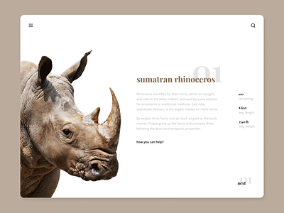 Endangered species / sumatran rhinoceros