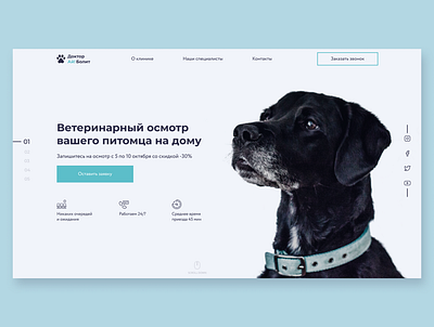 Vet clinic mainpage animal dog flat minimal pet typography ui user experience user interface ux veterinary webdesign