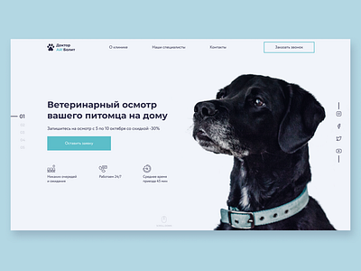 Vet clinic mainpage