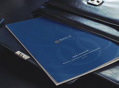 Company Brochure booklet coporate design print