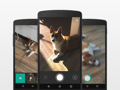 Capture UI android capture corgi photo video