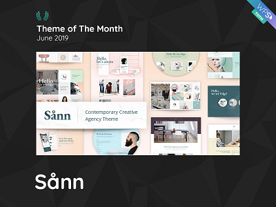 WPSelected Theme Of The Month June 2019 Sann