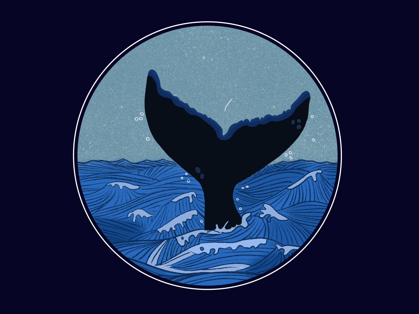 Blue Whale by Akshita Mishra on Dribbble