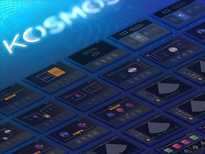 EchoNous: KOSMOS UI Design Screens