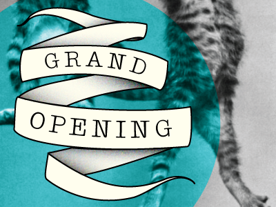 Grand Opening Banner grand opening kittens layer modes postcard veterinarian