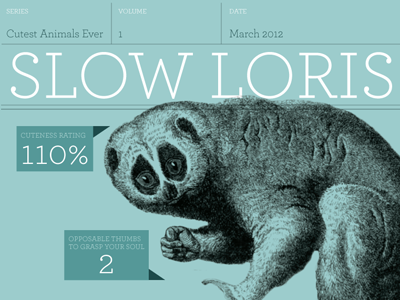 Slow Loris Fact Sheet archer cute layout design loris personal project typography