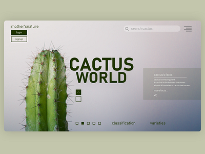 Cactus World app applicaiton branding design mobile app ui ux web website