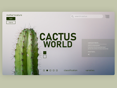 Cactus World