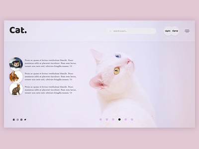 Cats applicaiton branding ui ux web website