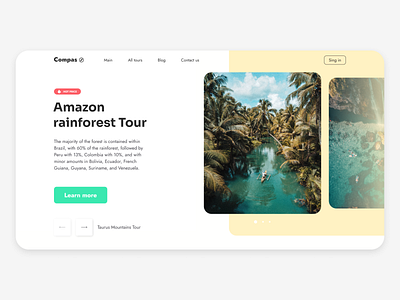 Amazon rainforest tour design flat minimal typography ui web website