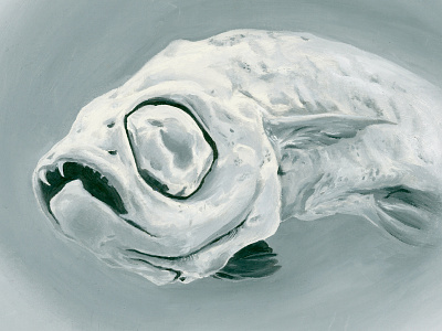 Dracula Minnow fish illustration oil painting river scientific teeth