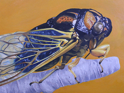 Cicada cicada illustration insect oil painting
